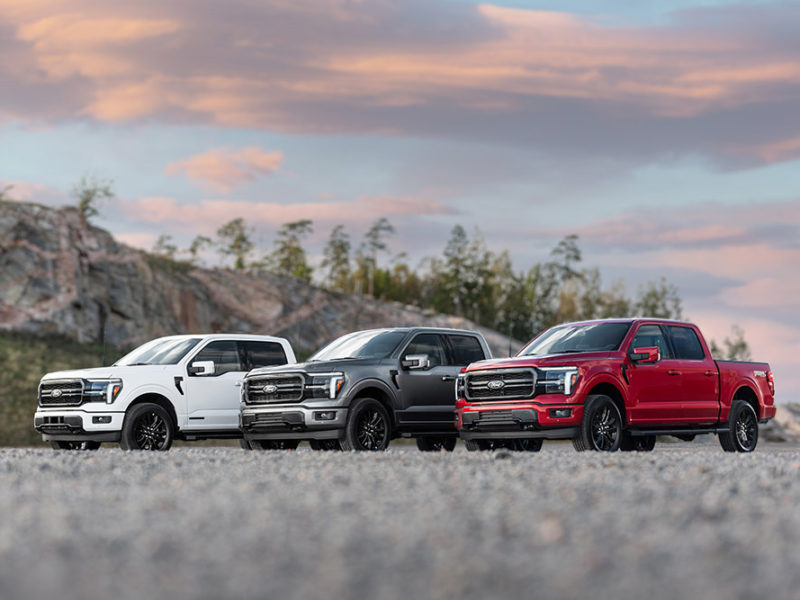 Ford F-150 i olika färger och med olika drivlinor. Bensin, Hybrid och Diesel